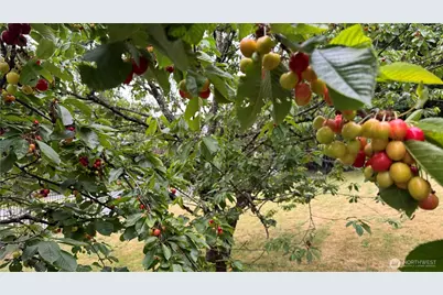 19205 124th Avenue SE, Kent, WA 98031 - Photo 39