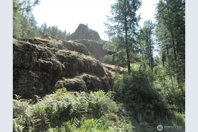 0 Tbd E San Poil Road, Keller, WA 99140 - Photo 5
