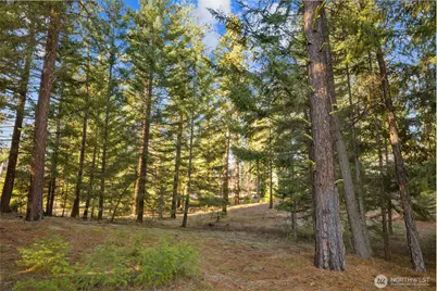 150 Bunchberry Court, Cle Elum, WA 98922 - Photo 13