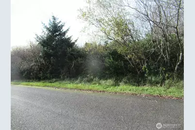 0 Driftwood Dr Drive, Ocean Shores, WA 98569 - Photo 7