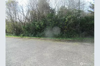 0 Driftwood Dr Drive, Ocean Shores, WA 98569 - Photo 1