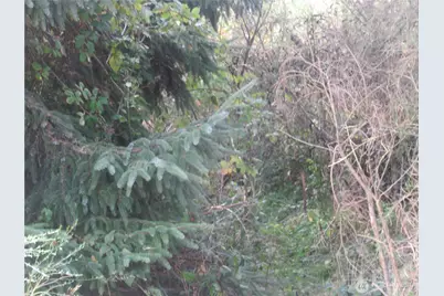 0 Driftwood Dr Drive, Ocean Shores, WA 98569 - Photo 3