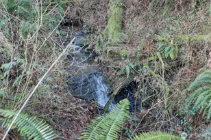 16714 Broadway Ave, Snohomish, WA 98296 - Photo 31