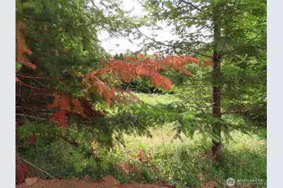 0 Lot D Mill Creek Lane, Longview, WA 98632 - Photo 9