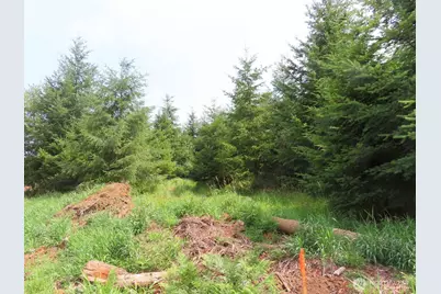 0 Lot D Mill Creek Lane, Longview, WA 98632 - Photo 11