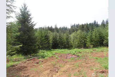 0 Lot D Mill Creek Lane, Longview, WA 98632 - Photo 13