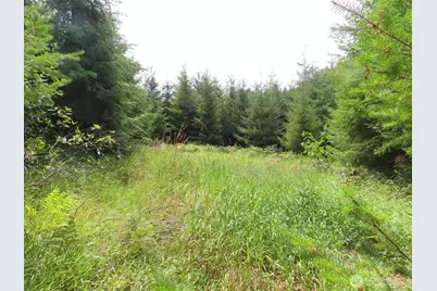 0 Lot D Mill Creek Lane, Longview, WA 98632 - Photo 5