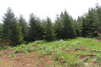 0 Lot D Mill Creek Lane, Longview, WA 98632 - Photo 17