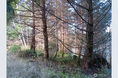 1478 Xxx E Hoquiam Road, Hoquiam, WA 98550 - Photo 11