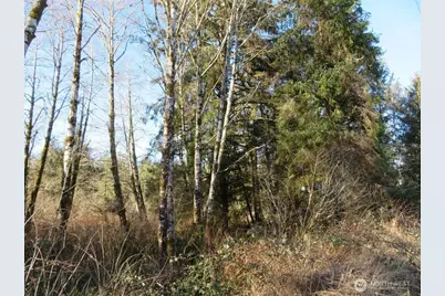 1478 Xxx E Hoquiam Road, Hoquiam, WA 98550 - Photo 5