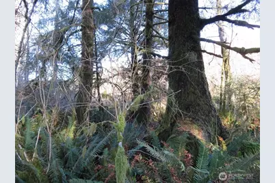 1478 Xxx E Hoquiam Road, Hoquiam, WA 98550 - Photo 7