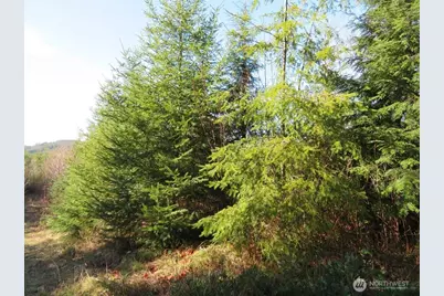 1478 Xxx E Hoquiam Road, Hoquiam, WA 98550 - Photo 23