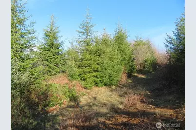 1478 Xxx E Hoquiam Road, Hoquiam, WA 98550 - Photo 13