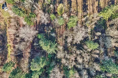 33507 84th Avenue E, Eatonville, WA 98328 - Photo 7