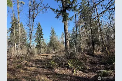 33507 84th Avenue E, Eatonville, WA 98328 - Photo 23