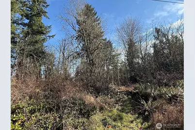 33507 84th Avenue E, Eatonville, WA 98328 - Photo 15