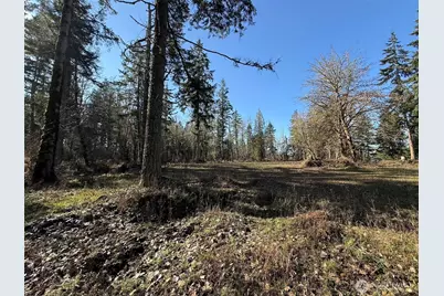 33507 84th Avenue E, Eatonville, WA 98328 - Photo 19