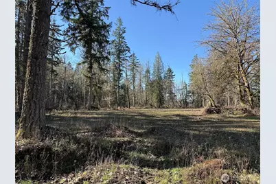 33507 84th Avenue E, Eatonville, WA 98328 - Photo 17