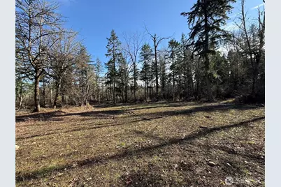 33507 84th Avenue E, Eatonville, WA 98328 - Photo 11