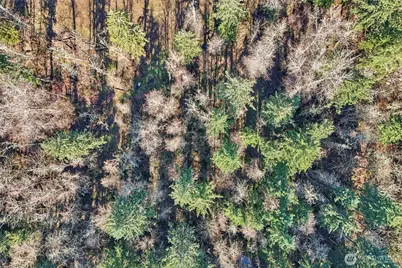 33507 84th Avenue E, Eatonville, WA 98328 - Photo 27