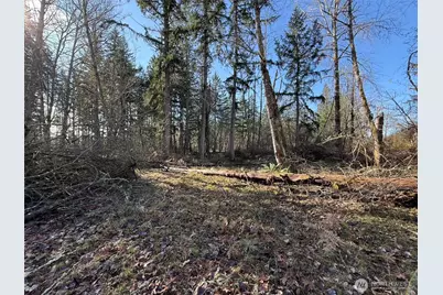 33507 84th Avenue E, Eatonville, WA 98328 - Photo 21