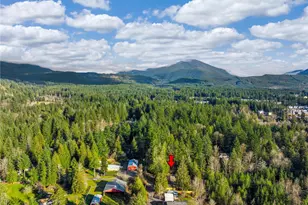 44525 SE 132nd St, North Bend, WA 98045 - Photo 37