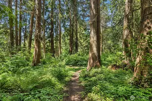 7717 252nd Ave NE, Redmond, WA 98053 - Photo 37