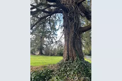 1365 Dolan Street, Raymond, WA 98577 - Photo 23