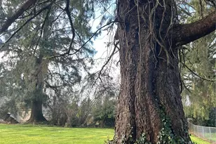 1365 Dolan St, Raymond, WA 98577 - Photo 23