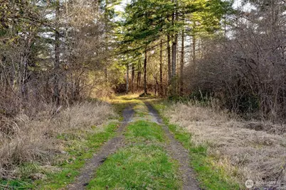 14647 Case Road SW, Rochester, WA 98579 - Photo 5