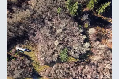 14647 Case Road SW, Rochester, WA 98579 - Photo 13