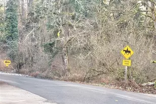 24527 250th Ave SE, Maple Valley, WA 98038 - Photo 29