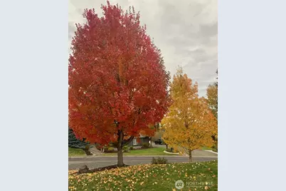 2903 219th Avenue E, Lake Tapps, WA 98391 - Photo 33