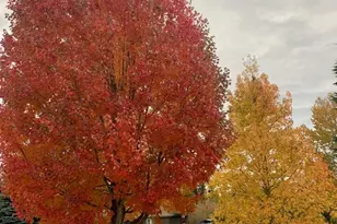 2903 219th Ave E, Lake Tapps, WA 98391 - Photo 33