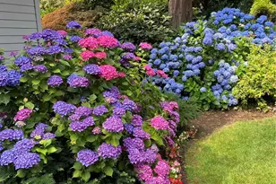 7416 245th Way NE, Redmond, WA 98053 - Photo 37