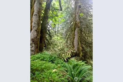 64315 Lookout Mountain Loop #170, Marblemount, WA 98267 - Photo 19