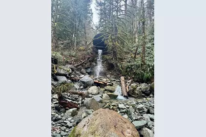 64315 Lookout Mountain Loop #170, Marblemount, WA 98267 - Photo 15