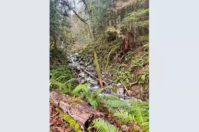 64315 Lookout Mountain Loop #170, Marblemount, WA 98267 - Photo 11