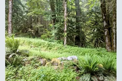 64315 Lookout Mountain Loop #170, Marblemount, WA 98267 - Photo 5