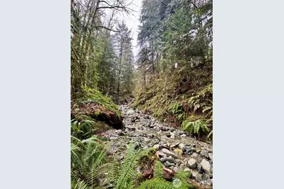 64315 Lookout Mountain Loop #170, Marblemount, WA 98267 - Photo 19