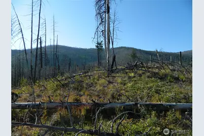 0 Tbd Stage Coach Trail, Riverside, WA 98849 - Photo 5