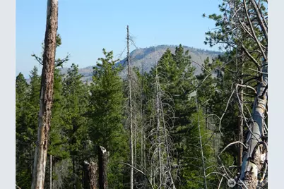 0 Tbd Stage Coach Trail, Riverside, WA 98849 - Photo 11