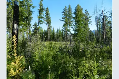 0 Tbd Stage Coach Trail, Riverside, WA 98849 - Photo 19