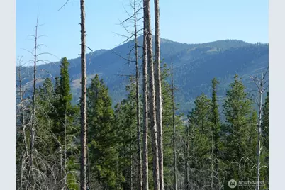 0 Tbd Stage Coach Trail, Riverside, WA 98849 - Photo 3