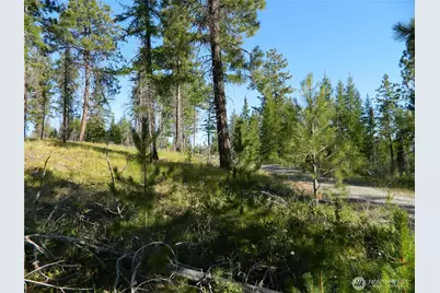 0 Tbd Stage Coach Trail, Riverside, WA 98849 - Photo 13