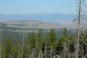 0 Tbd Stage Coach Trail, Riverside, WA 98849 - Photo 1