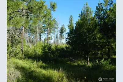 0 Tbd Stage Coach Trail, Riverside, WA 98849 - Photo 25