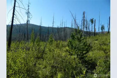 0 Tbd Stage Coach Trail, Riverside, WA 98849 - Photo 29