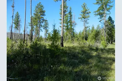 0 Tbd Stage Coach Trail, Riverside, WA 98849 - Photo 17