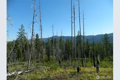 0 Tbd Stage Coach Trail, Riverside, WA 98849 - Photo 9